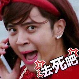 表情包大战 罗志祥,网络狂欢背后的娱乐真相